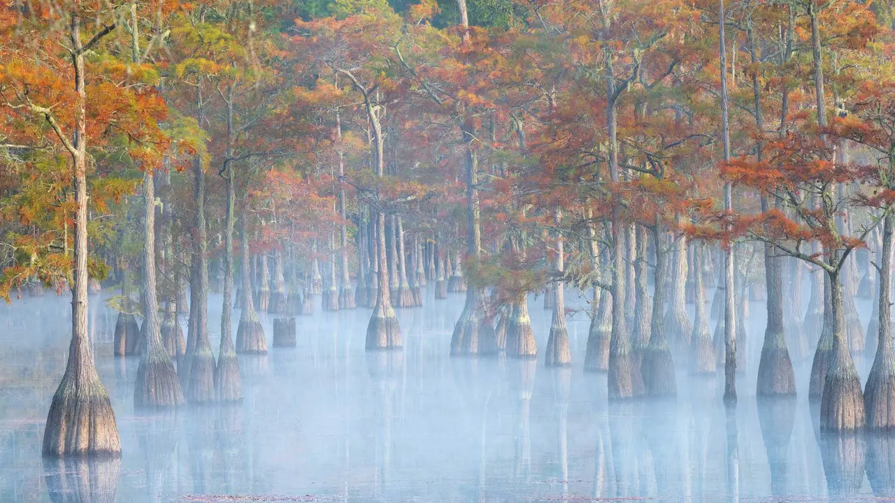Standing tall in fall