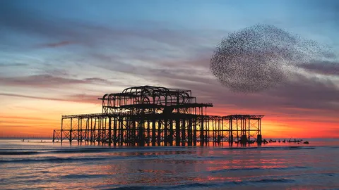 Starling murmuration over the ruins of Brighton's West Pier, England