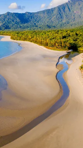 Un &eacute;crin sauvage entre terre et mer