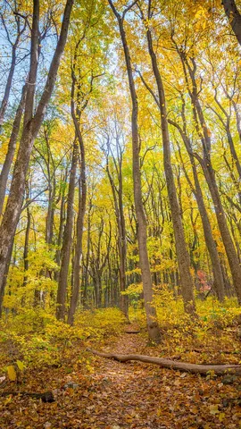 Oh Shenandoah