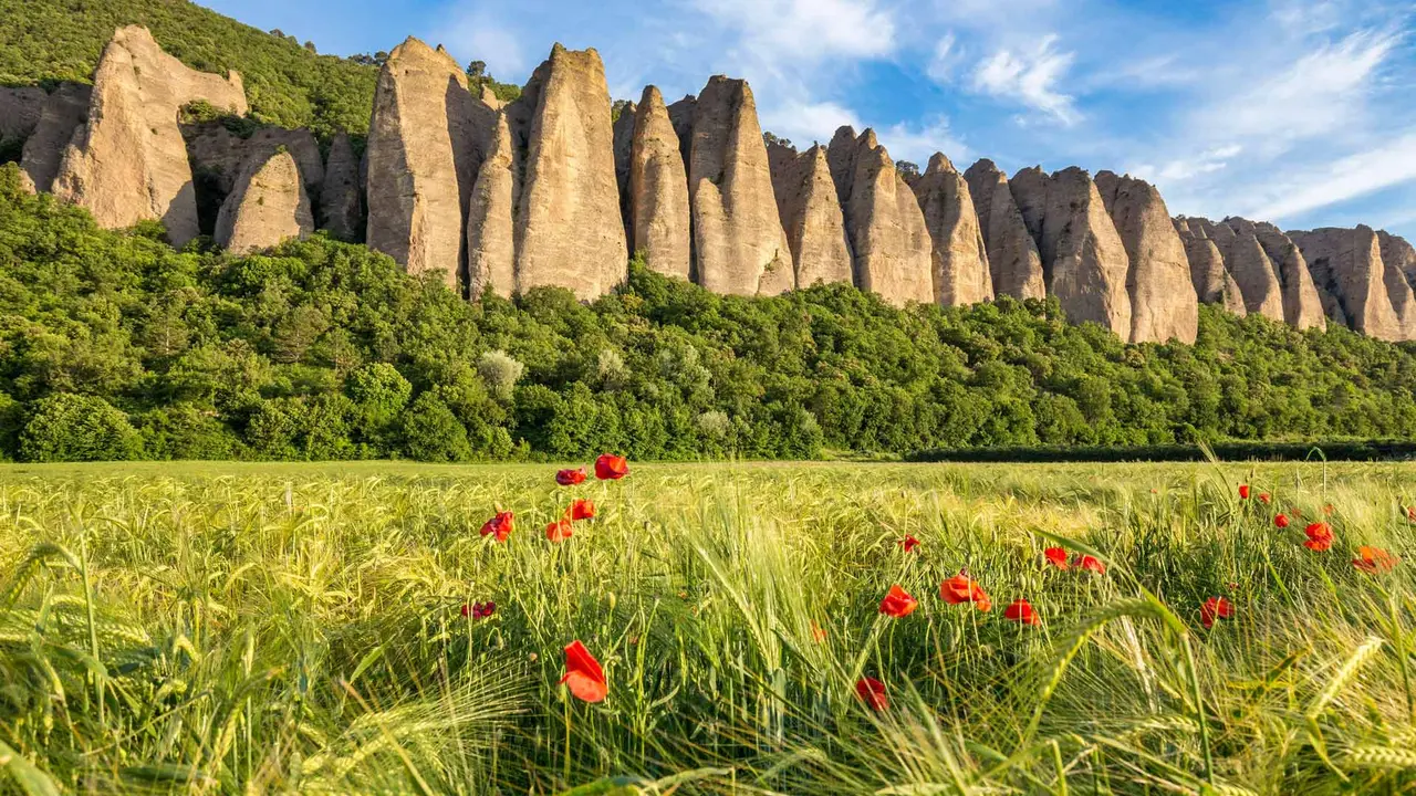 Les G&eacute;ants de la Haute-Provence