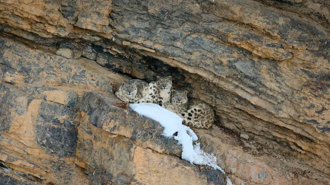 Majest&auml;t der Berge