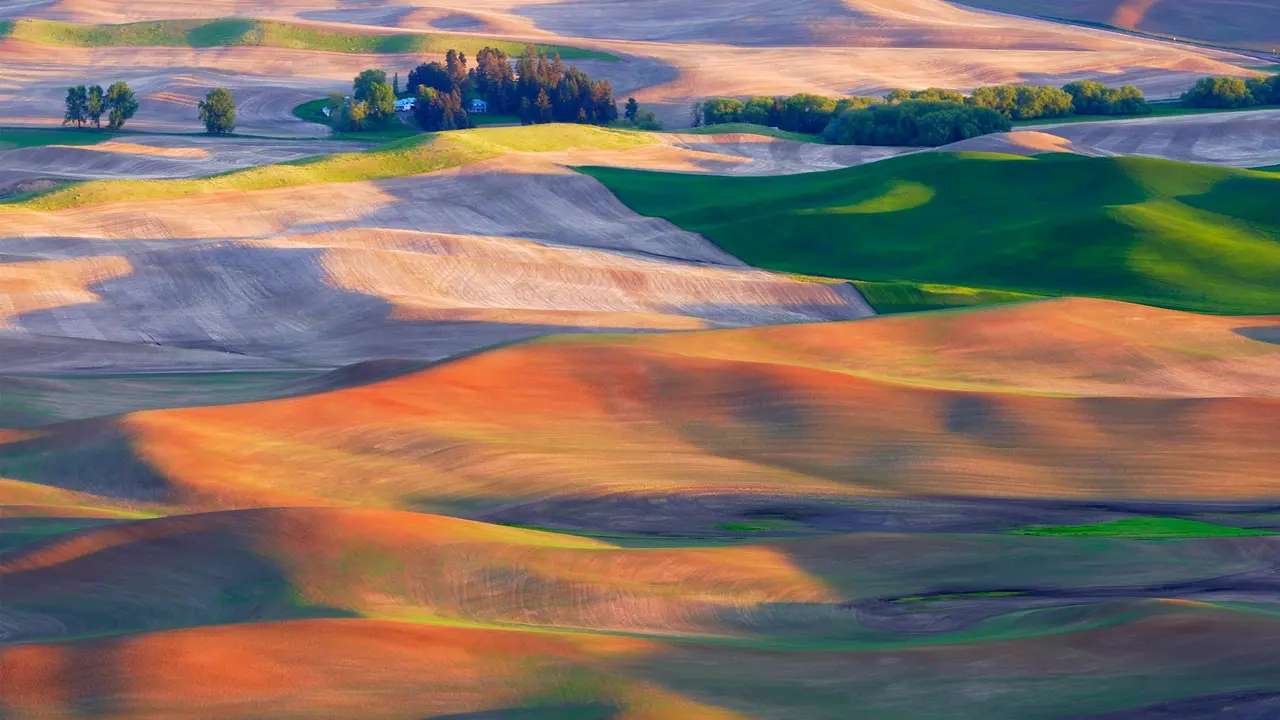 La r&eacute;gion bucolique de la Palouse