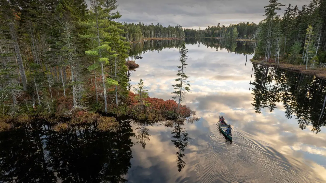 Bosques y aguas