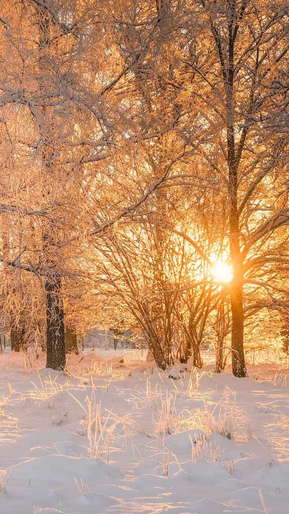 Birth of the new sun