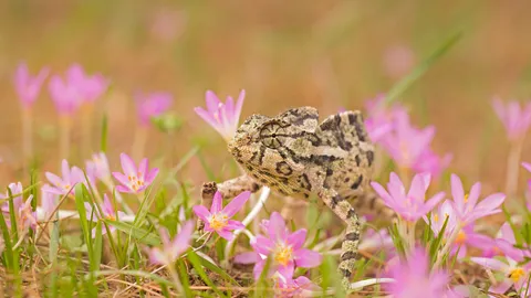 Blending in and standing out
