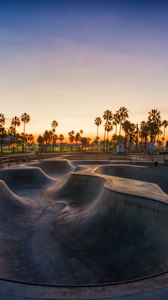 Palmen, Skateboard, Meer und Sonne!