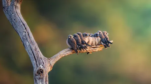 Acurrucados para el cotilleo
