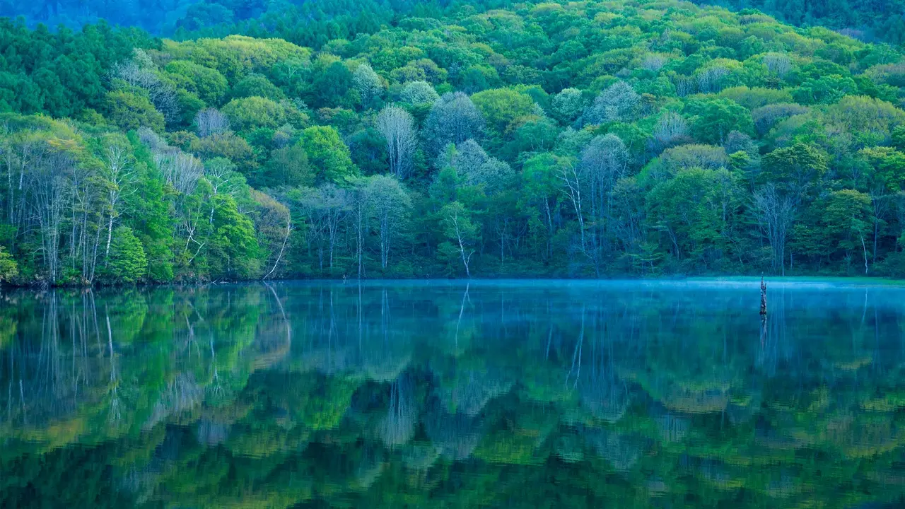 Um espelho que reflete a beleza da natureza