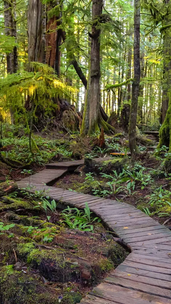 The path less taken
