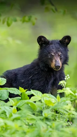 Dur, dur, le r&eacute;veil !