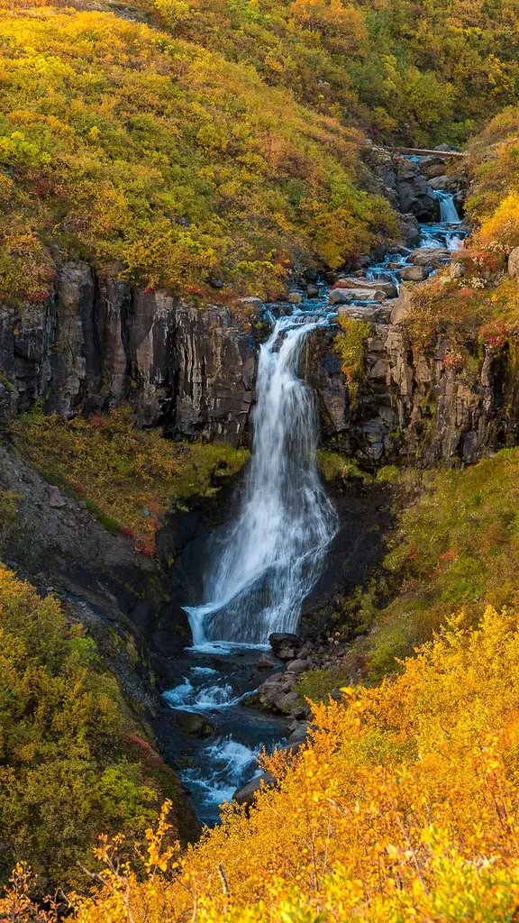 Wasserfall im Herbstlicht