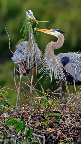 付出和给予的一天