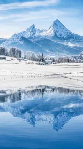 是现实还是童话？