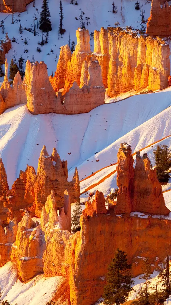 無数の土柱が並ぶ絶景