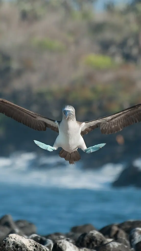 平稳着陆，双脚先行