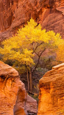 沐浴在秋天的色彩中