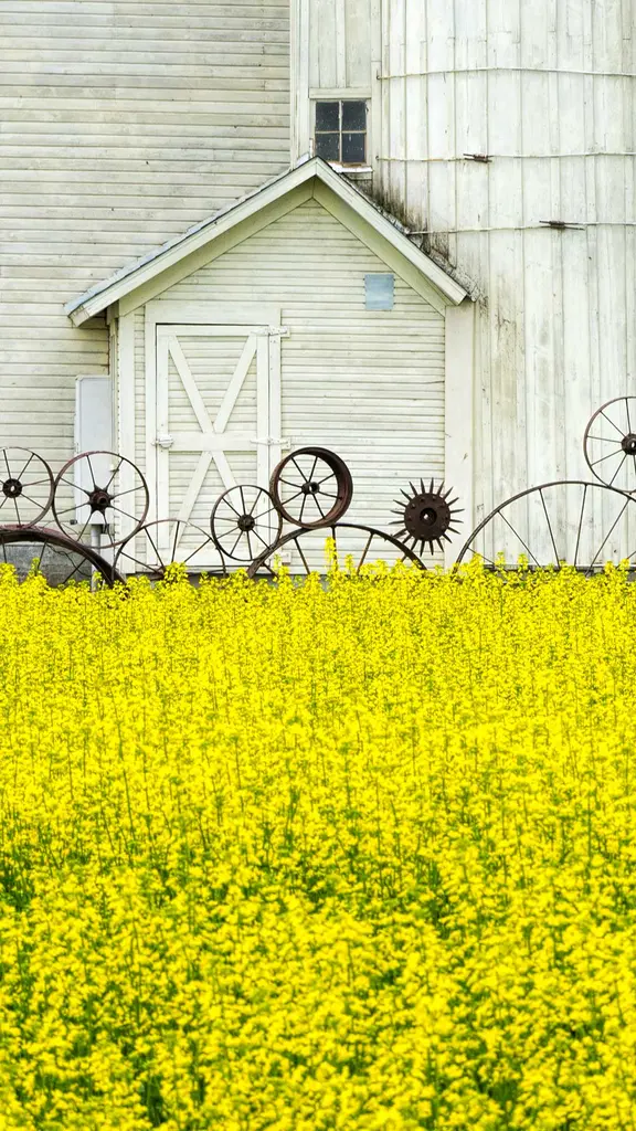 Le bonheur est dans le pr&eacute; !