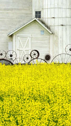 Le bonheur est dans le pr&eacute; !