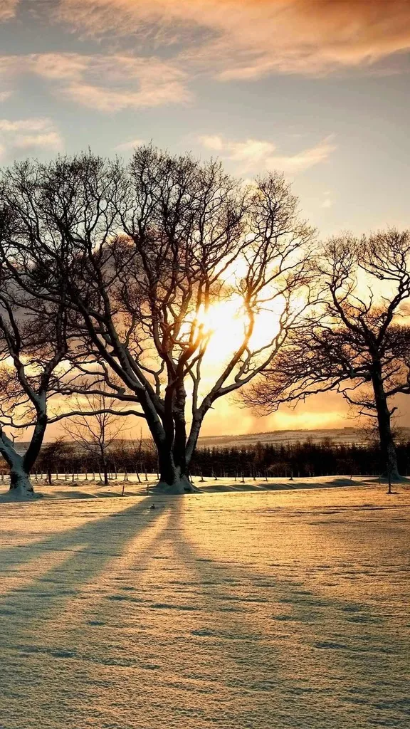 Tradition burns bright