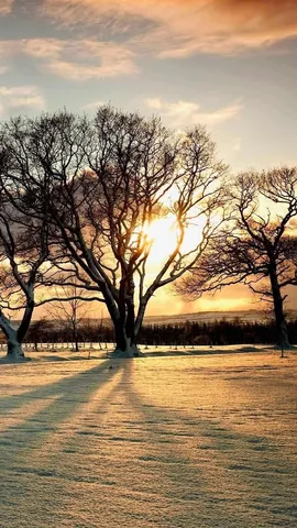 Tradition burns bright