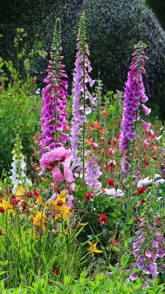 Mulch ado about gardening