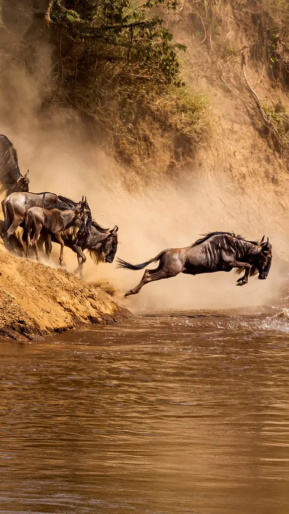 Uma corrida pela vida