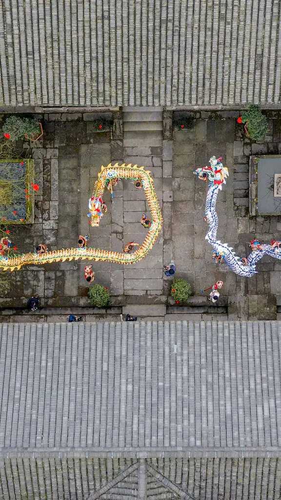 O ano do Drag&atilde;o