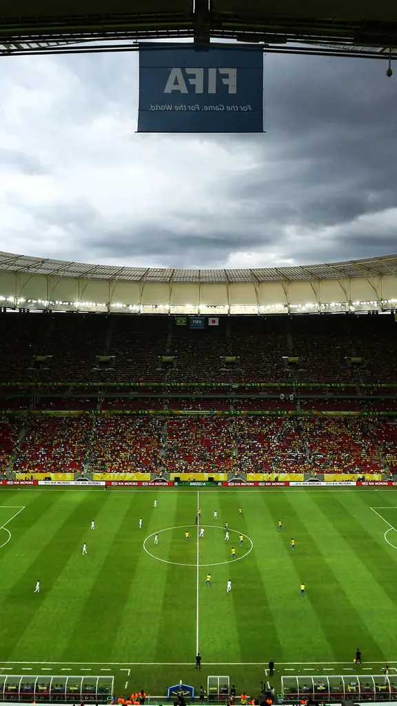 A paix&atilde;o em campo