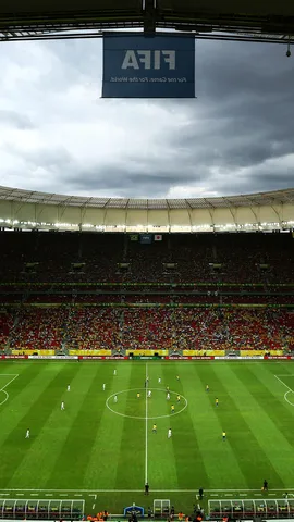 A paix&atilde;o em campo