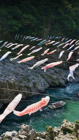 今日は「こどもの日」