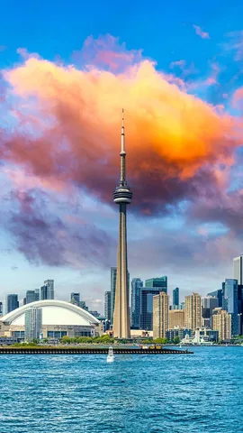 2024年多伦多国际电影节