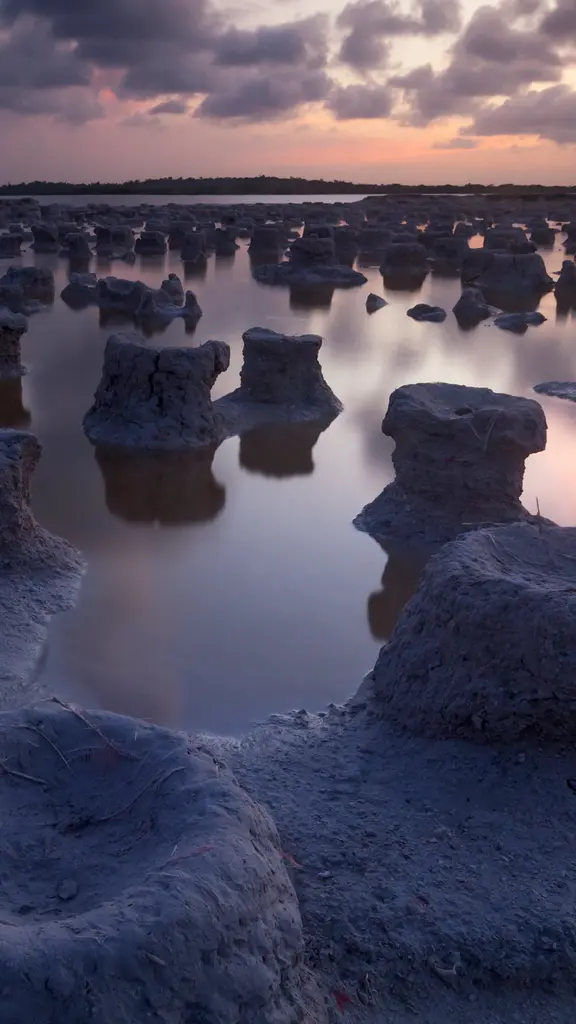 Onde a natureza encontra a sustentabilidade
