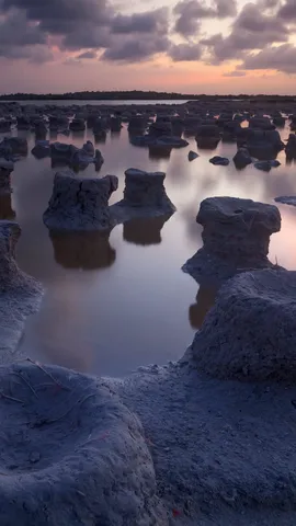 Quand la nature rencontre le d&eacute;veloppement durable