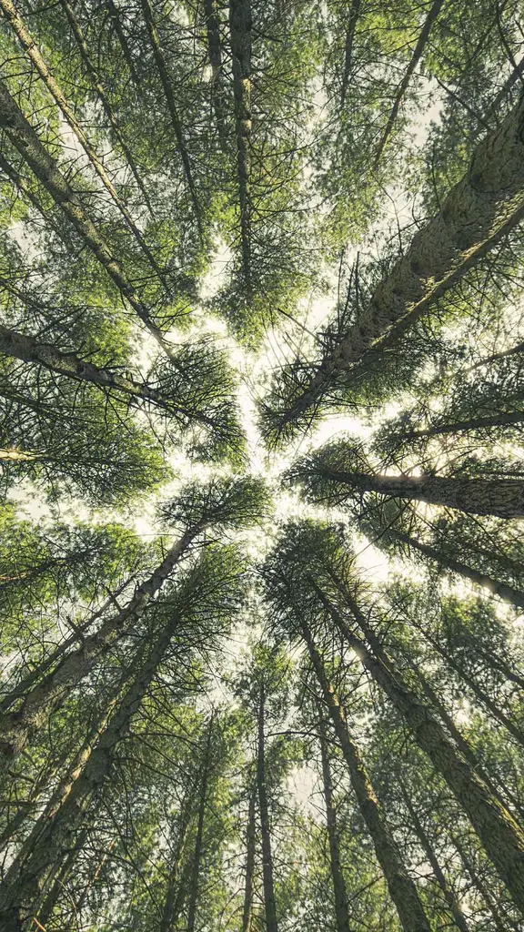 L'estate sta iniziando...