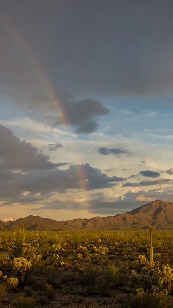 Do outro lado do arco-&iacute;ris