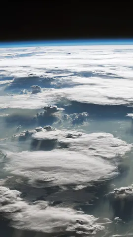 今日は世界気象デー