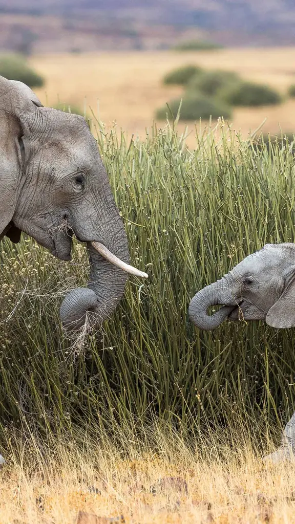Un bonito d&iacute;a para pasear