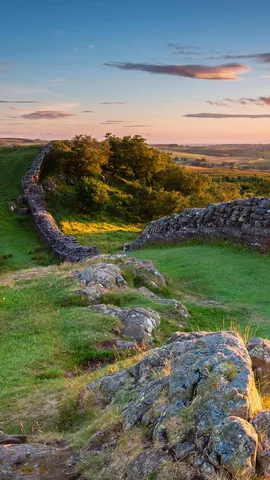A welcome spot for wallflowers