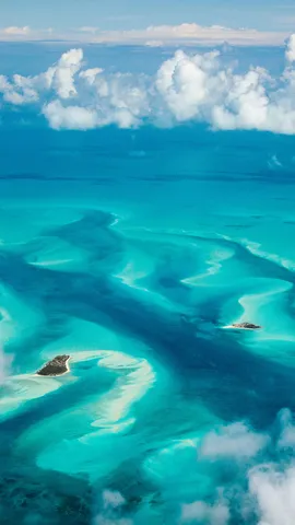 Las olas de la libertad