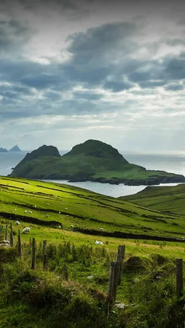 今日は聖パトリックの祝日