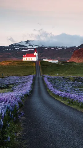 Florescendo para a vida