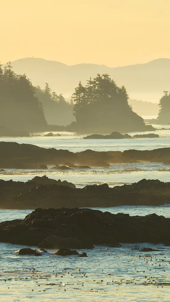 Big splashes, bigger journeys