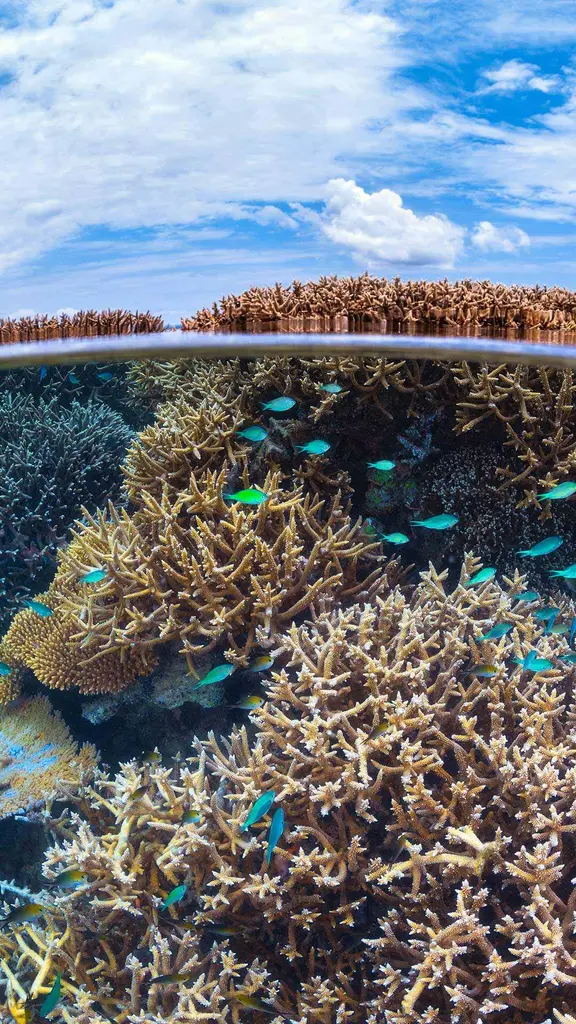 Profundo e significativo