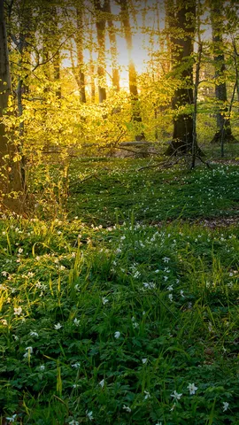 Sotto un raggio di luce