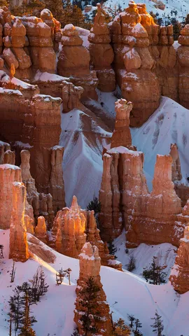 岩の尖塔が無数に並ぶ絶景