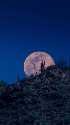 亚利桑那州空中的粉月亮