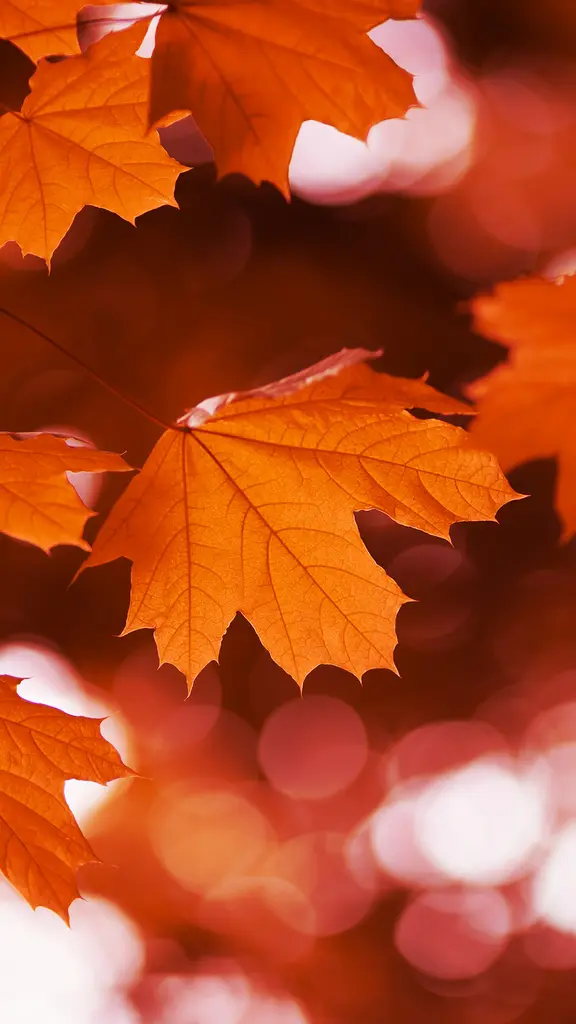 Nature's red couture