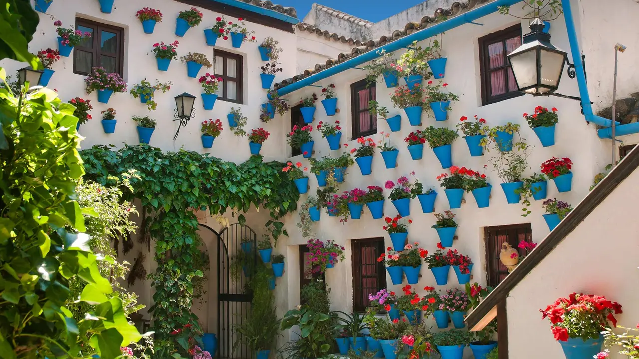 &iexcl;Un d&iacute;a con color!