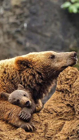 Un d&iacute;a para relajarse